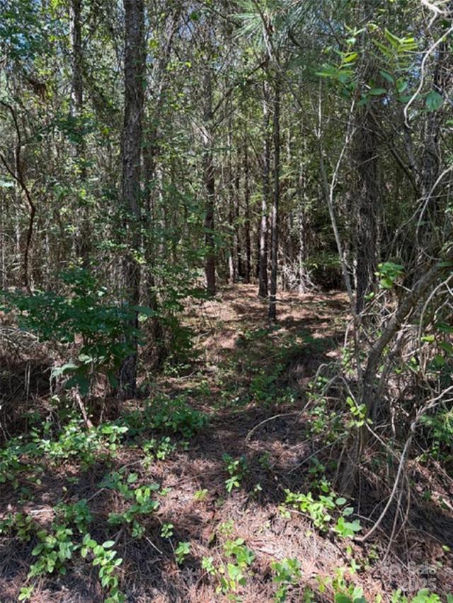 00 Daisy Rd., Lilesville, NC 28091