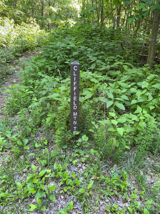 Cherry Hill None #202, Mill Spring, NC 28756