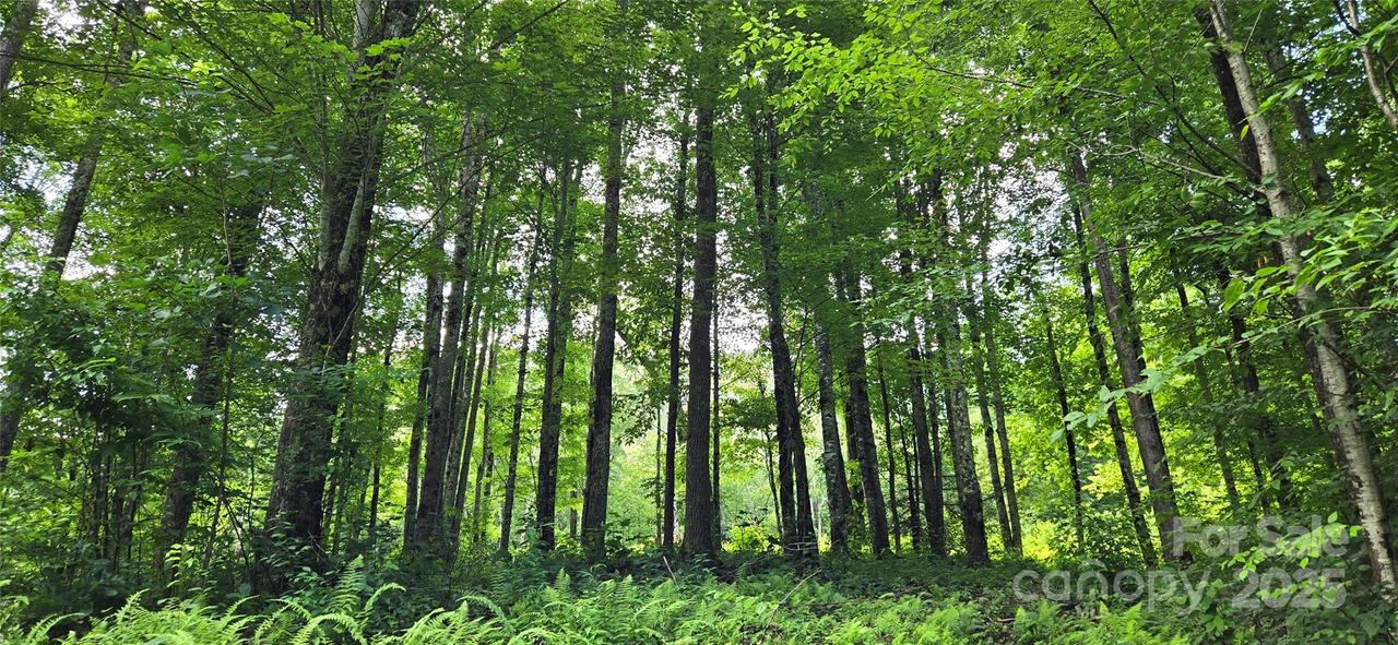 108 Tenderfoot Tr. #108 & 109, Maggie Valley, NC 28751