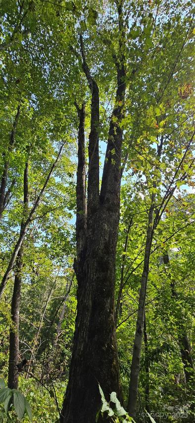 108 Tenderfoot Tr. #108 & 109, Maggie Valley, NC 28751