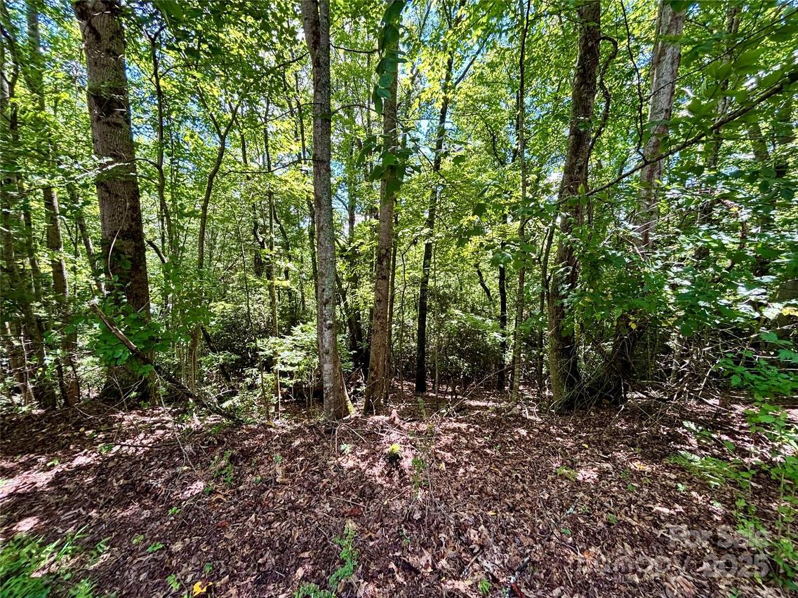 Laurel Forest Dr., Hendersonville, NC 28792