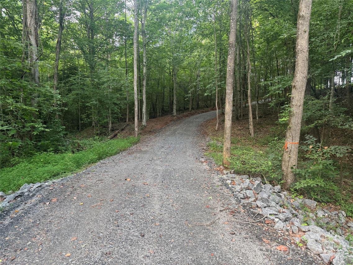 00 Coxe Rd. #4, Tryon, NC 28782
