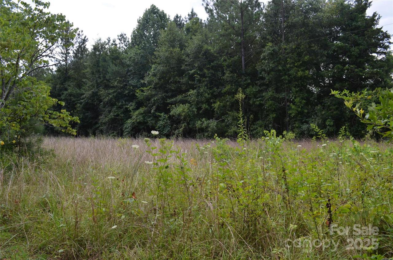 Old Us 221 Hwy., Rutherfordton, NC 28139