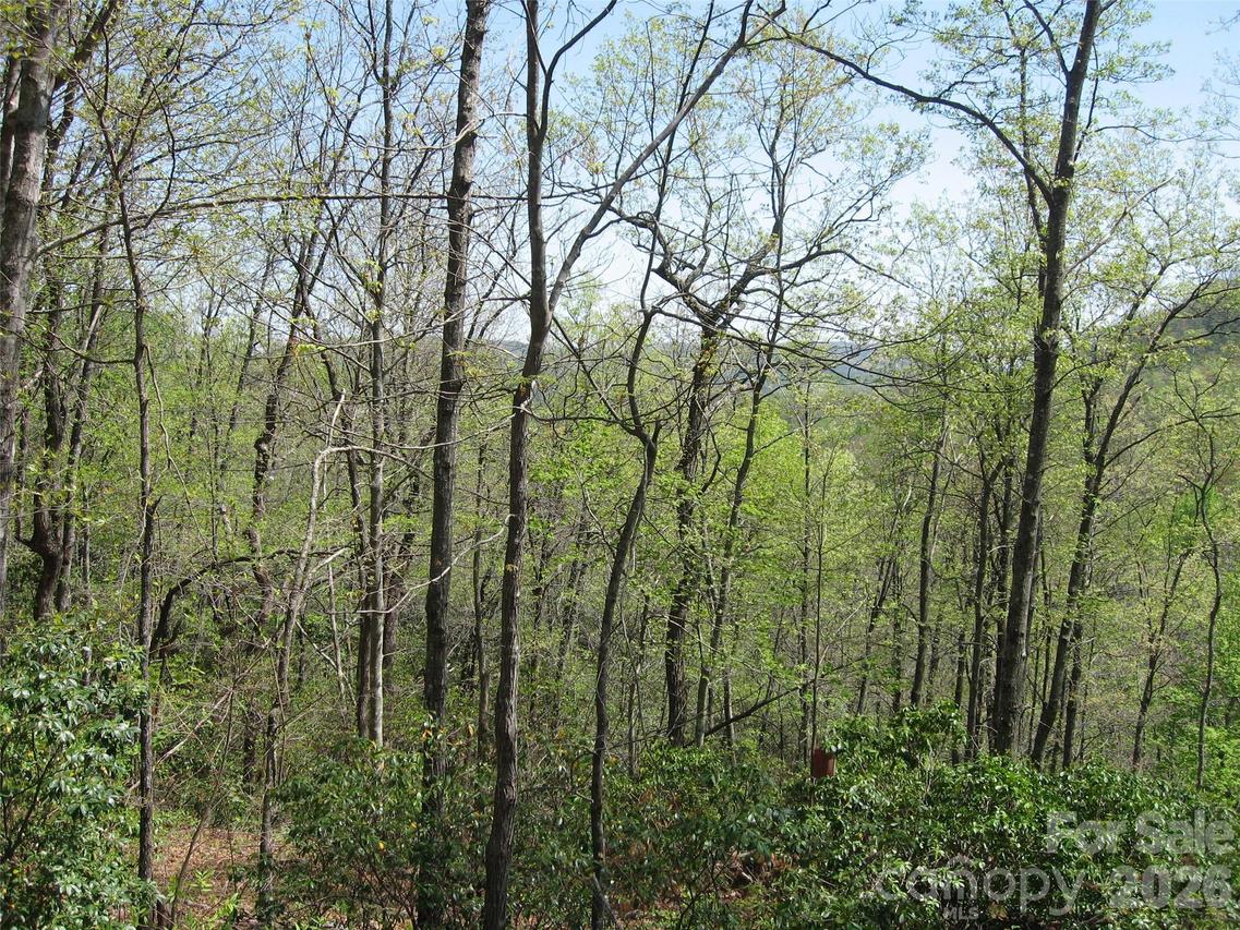 313 Line Runner Ridge Rd., Rosman, NC 28772