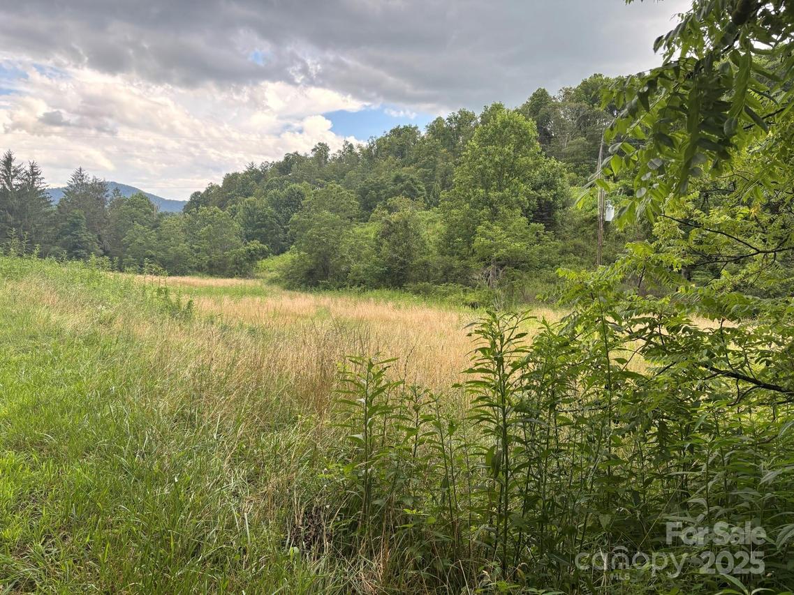 TBD Robert Phillips Rd., Bakersville, NC 28705