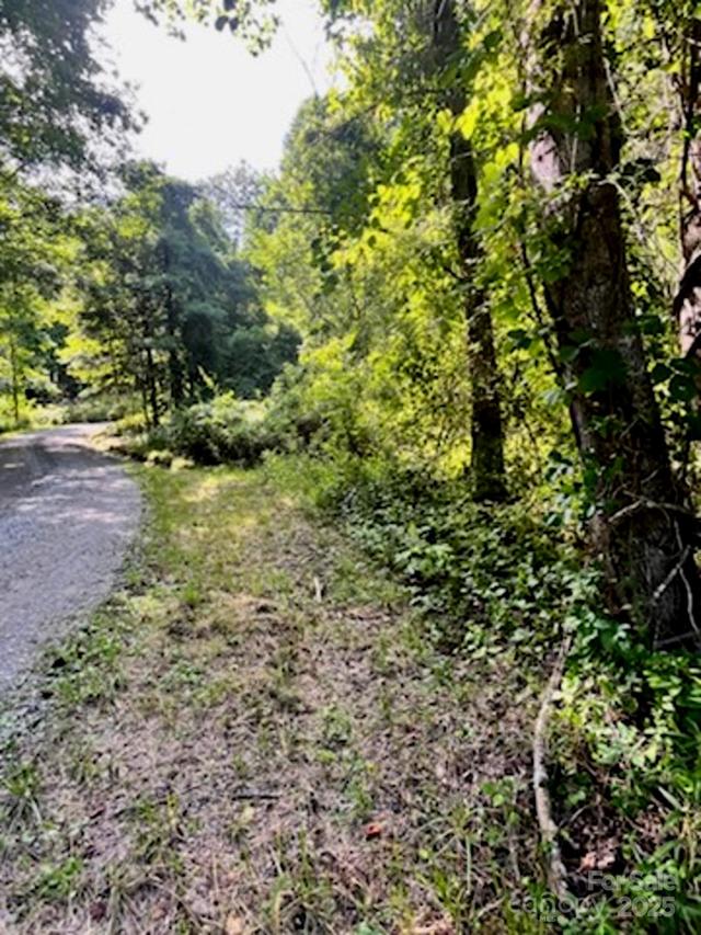 999999 Indian Camp Creek Rd., Madison, NC 28743