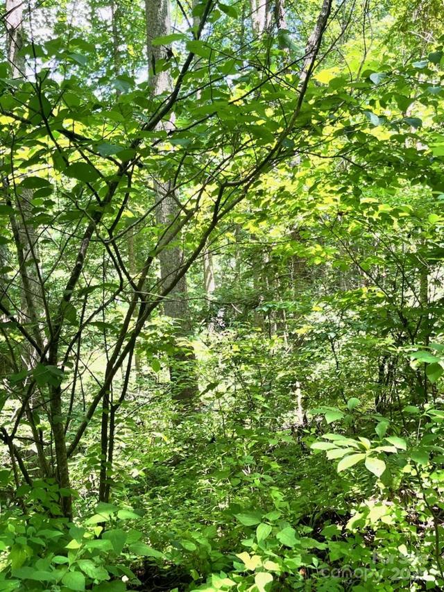 287 Indian Camp Creek Rd., Hot Springs, NC 28743