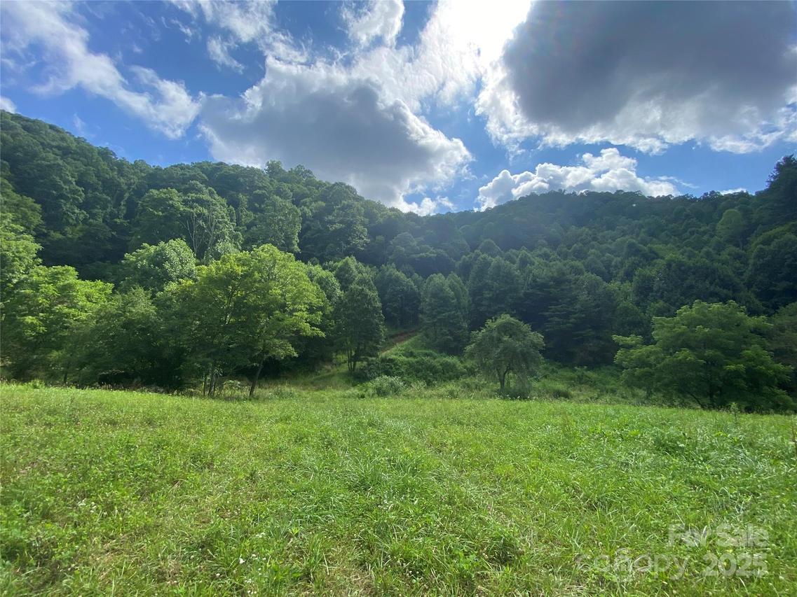 99999 Foster Creek Rd., Marshall, NC 28753