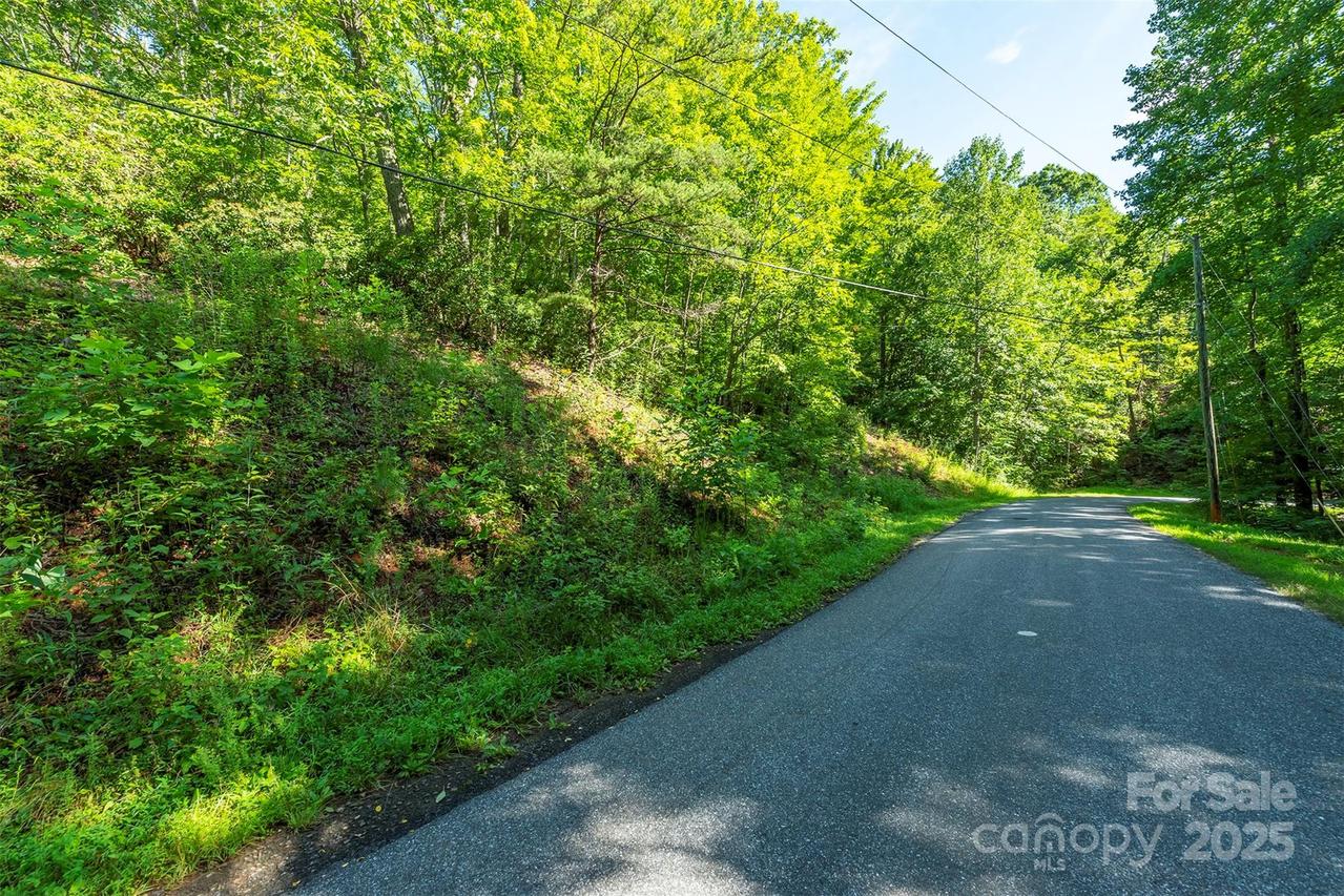 TBD Mckenzie Way, Old Fort, NC 28762