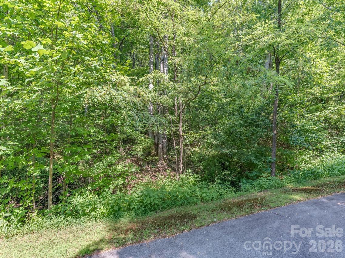 Lot 231 Chesterfield Dr. #231, Mill Spring, NC 28756
