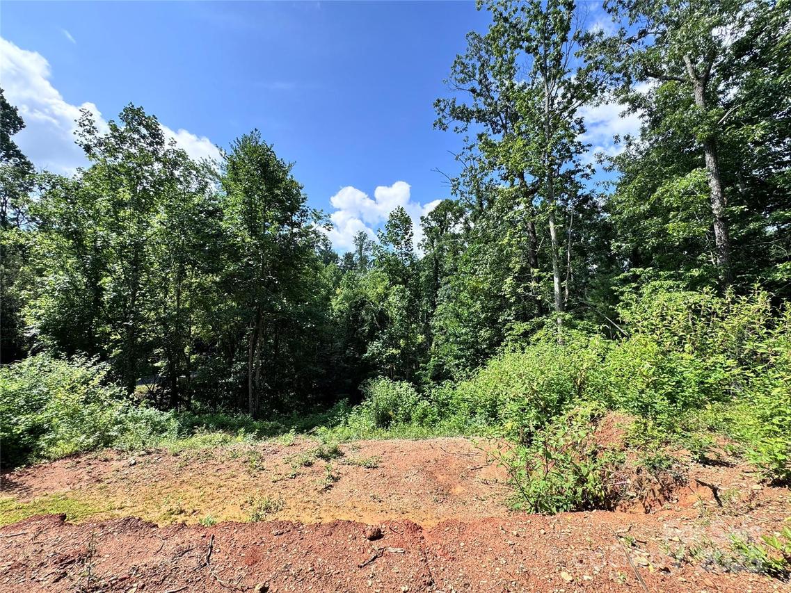 7 Winter Hawk Dr. #3, Arden, NC 28704