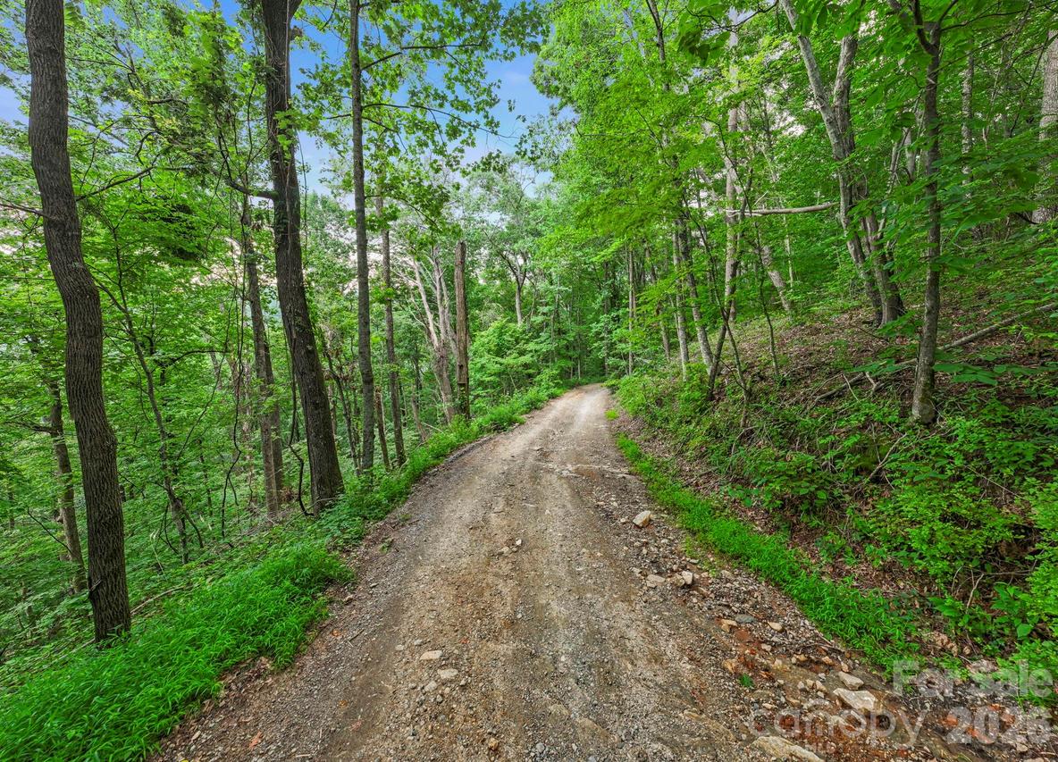 99999 Little Pisgah Rd., Gerton, NC 28735