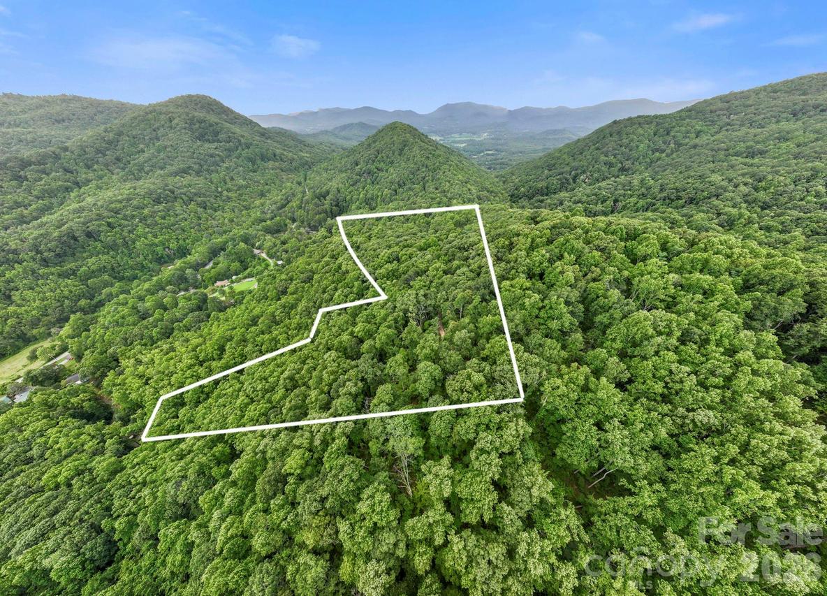 99999 Little Pisgah Rd., Gerton, NC 28735