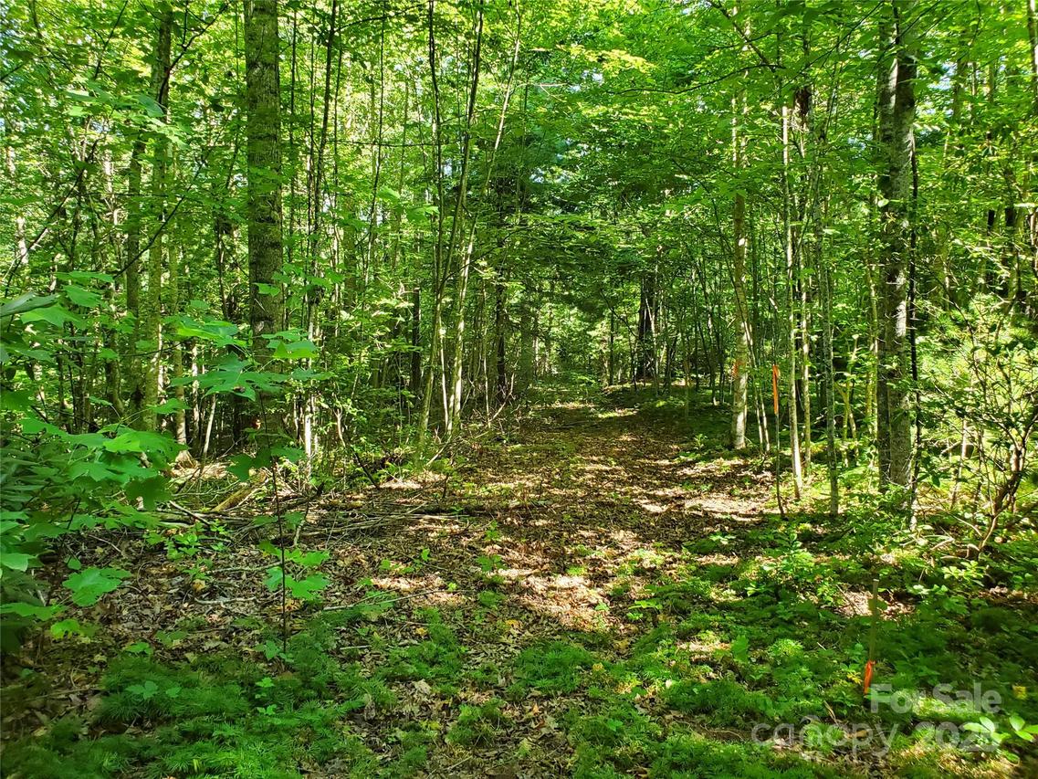 00 Staton Ridge Rd., Saluda, NC 28773