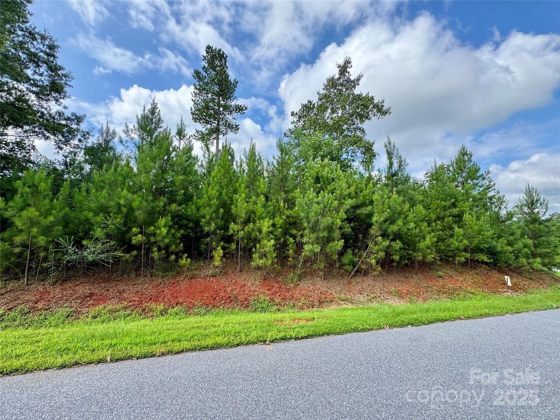 2039 Lake Vista Dr. #38, Connelly Springs, NC 28612