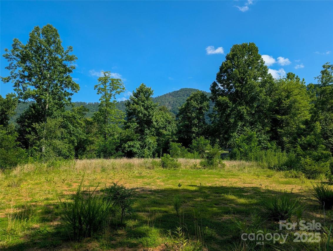 303 Festive Pine Tr., Green Mountain, NC 28740
