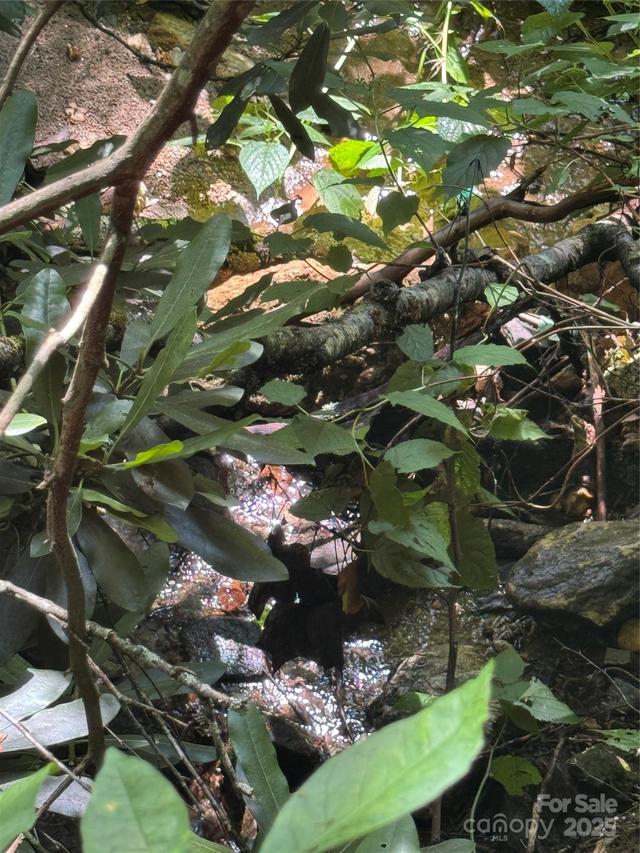 TBD Little Squirrel Creek Rd., Newland, NC 28657