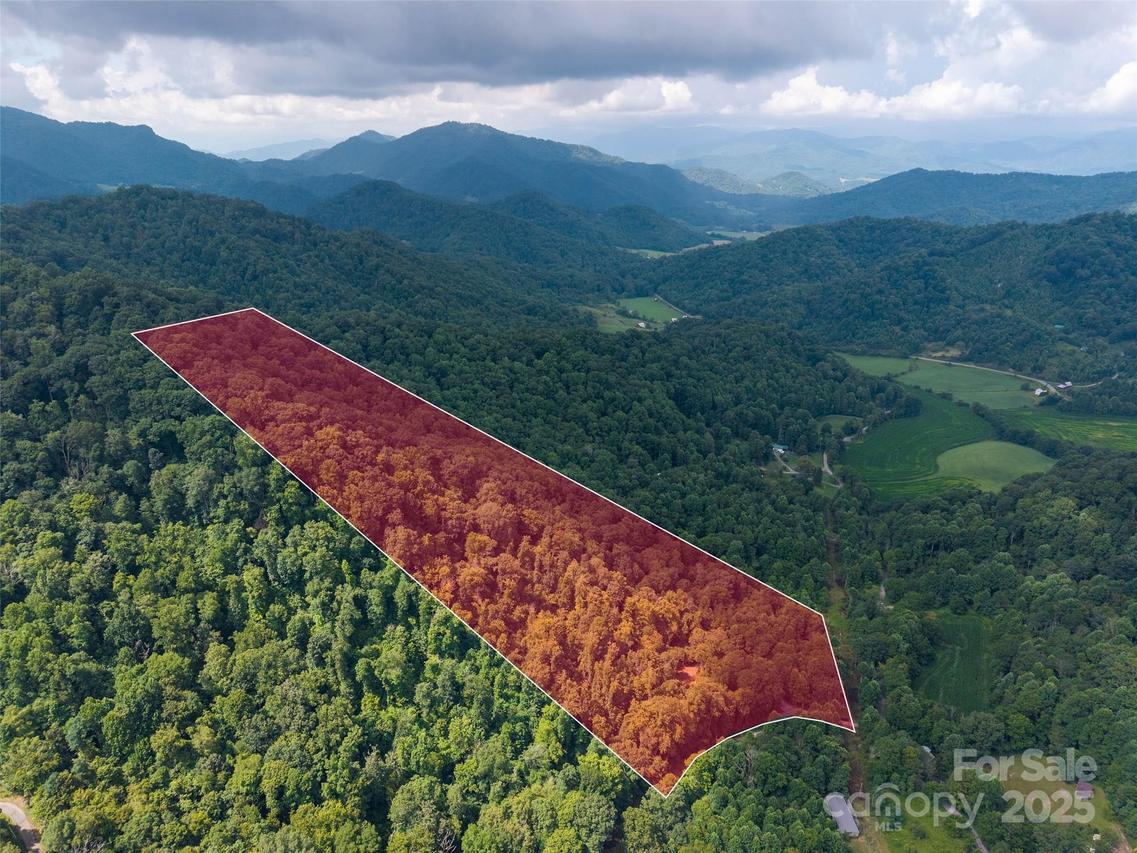 00 Sugar Cove Rd., Clyde, NC 28721