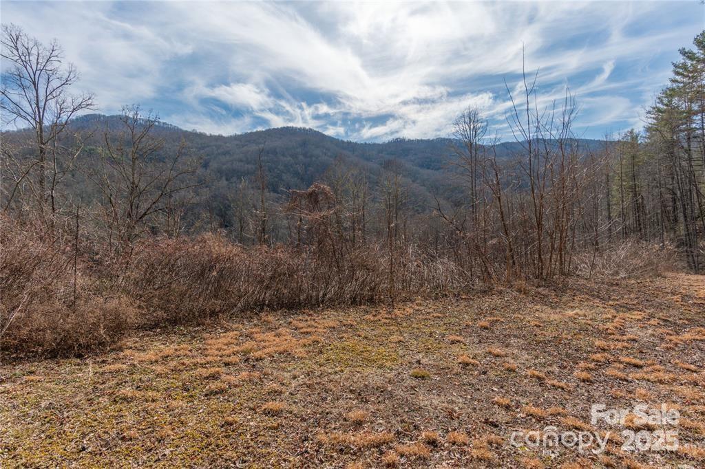 2220 (Tract 2) Tilley Creek Rd., Cullowhee, NC 28723
