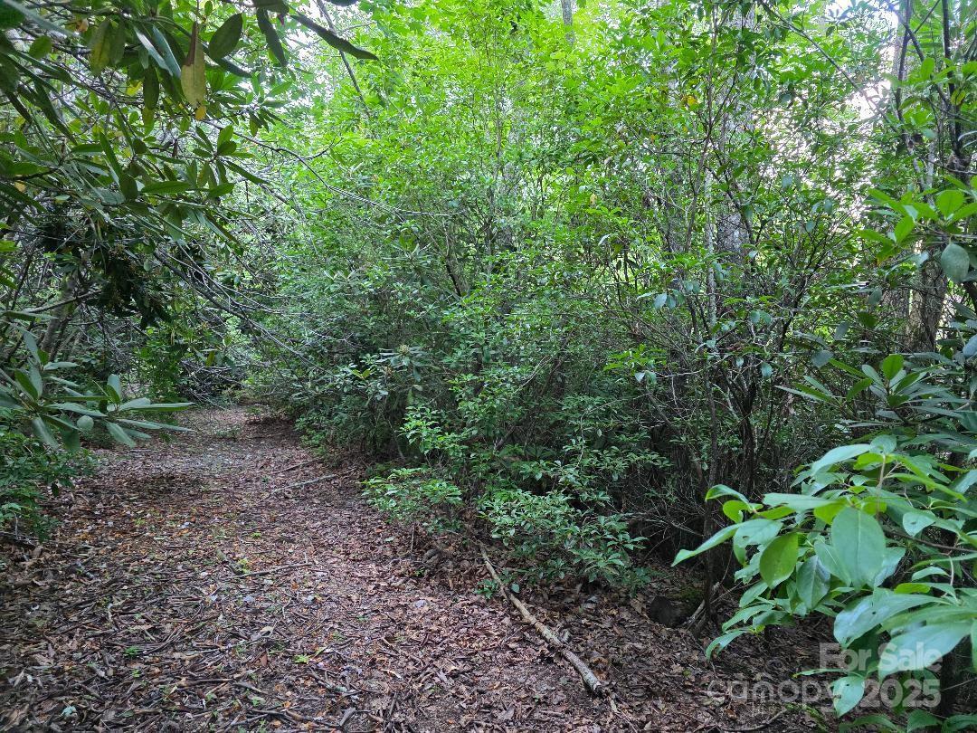 LOT 2 Pine Ridge Rd., Burnsville, NC 28714
