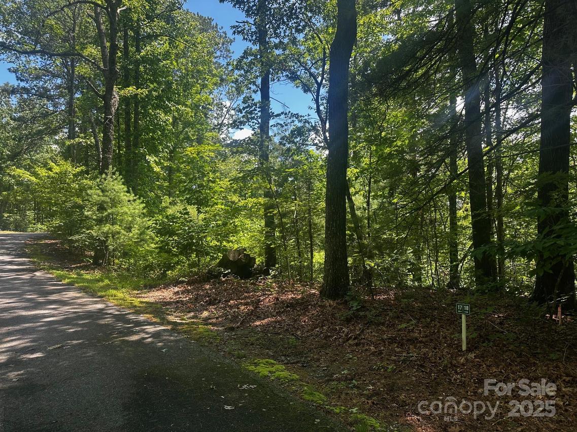 130 Brown Bear Ridge Tr., Zirconia, NC 28790