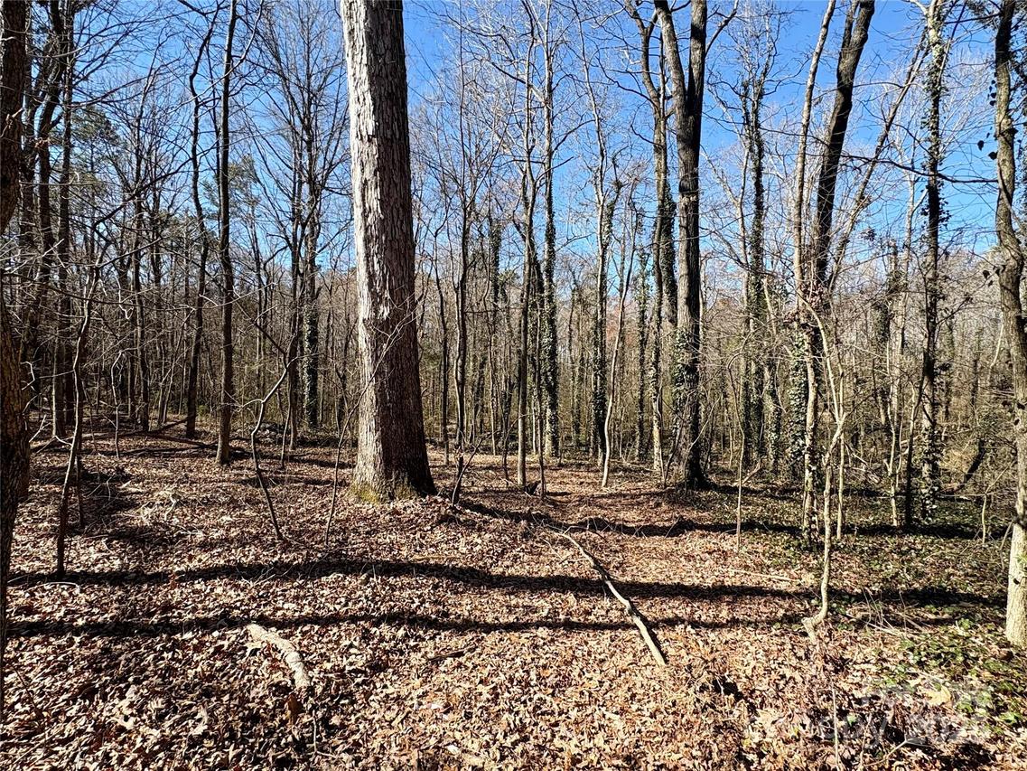 1417 Ellis Griffin Rd., Wingate, NC 28174