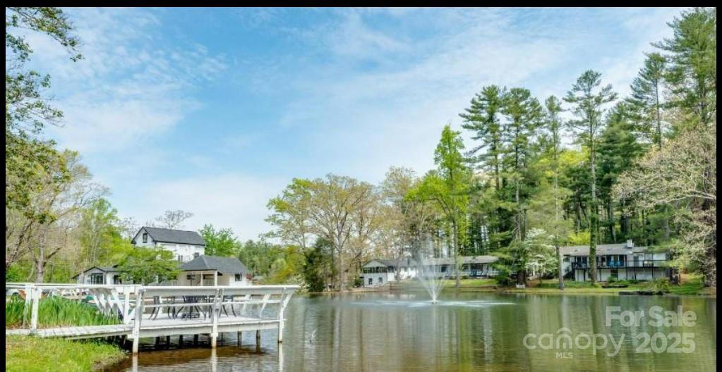 20 Lake Jordan Dr. #503, Flat Rock, NC 28731