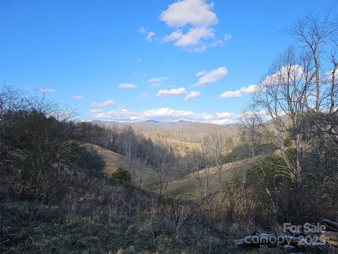 222 Indigo Bunting Ln., Marshall, NC 28753
