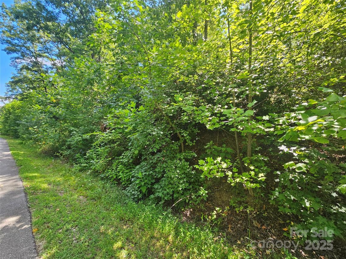 Lot 40 Walkaloosa Way, Mooresboro, NC 28114