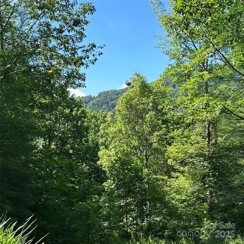 33 Nuthatch Ln. #T-84, Black Mountain, NC 28711