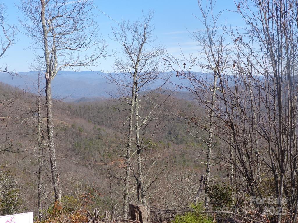 Lot 70 Longview Ridge #70, Sylva, NC 28779