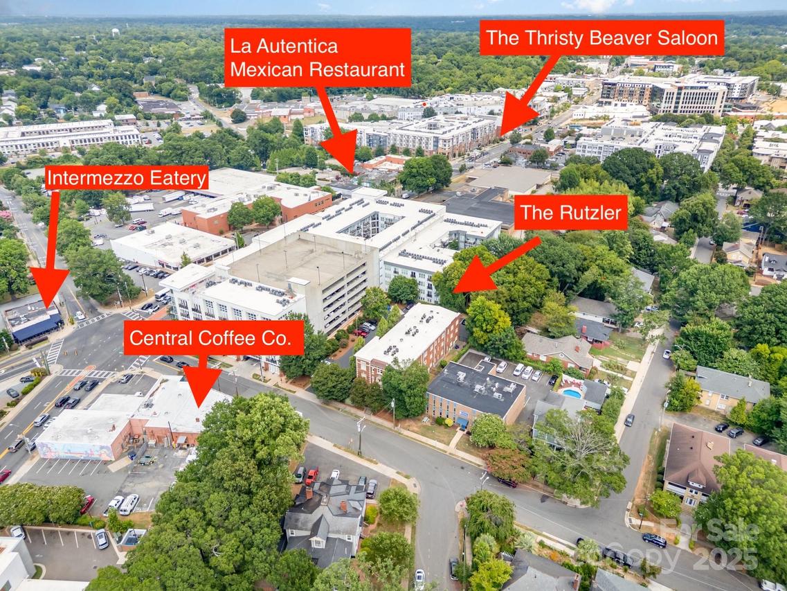 712 Louise Ave. #304, Charlotte, NC 28204