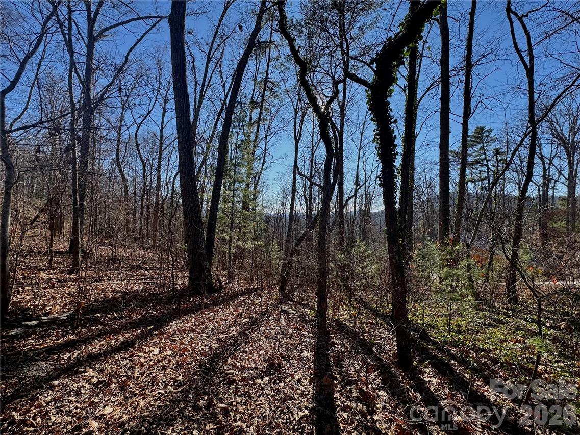 99999 Buffalo Tr. #86, Asheville, NC 28805