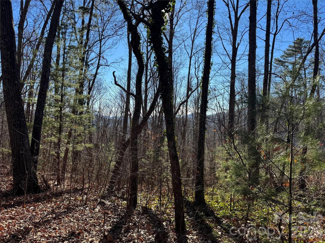 99999 Buffalo Tr. #86, Asheville, NC 28805