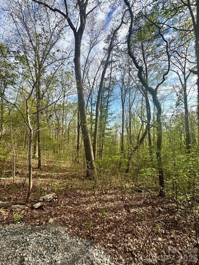 99999 Buffalo Tr. #86, Asheville, NC 28805