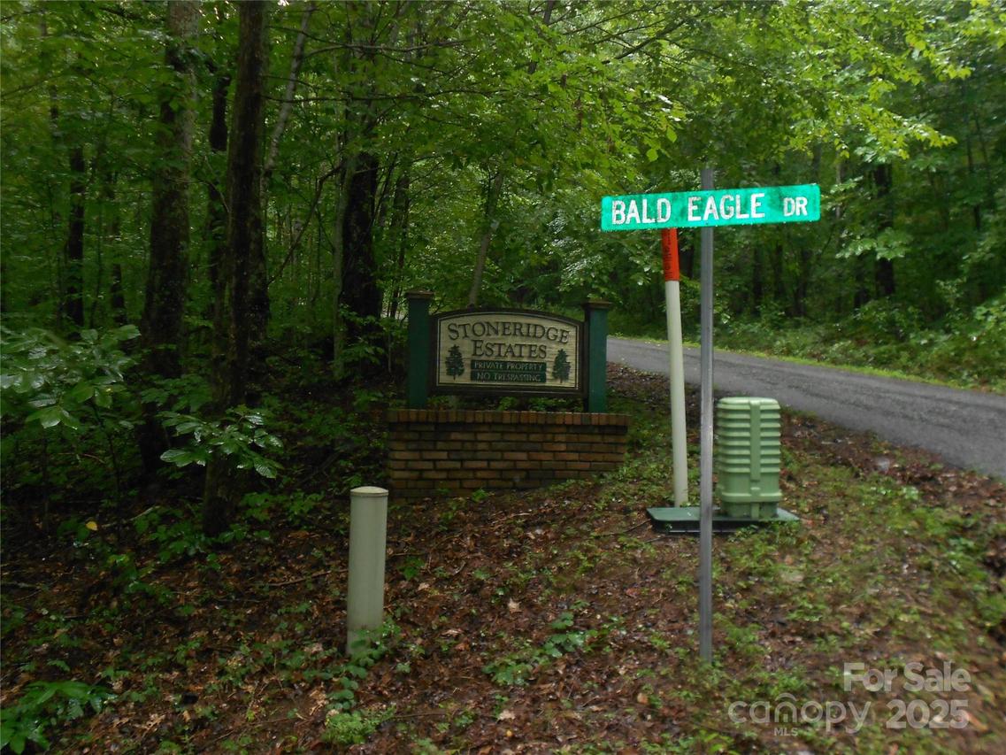 TBD Bald Eagle Dr., Hendersonville, NC 28792