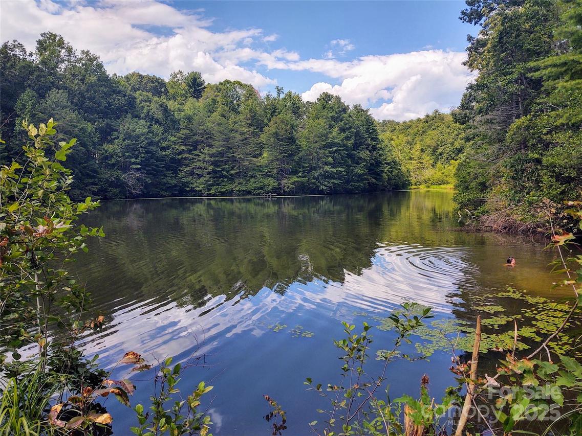 736 English Heifer Cove Rd., Flat Rock, NC 28731