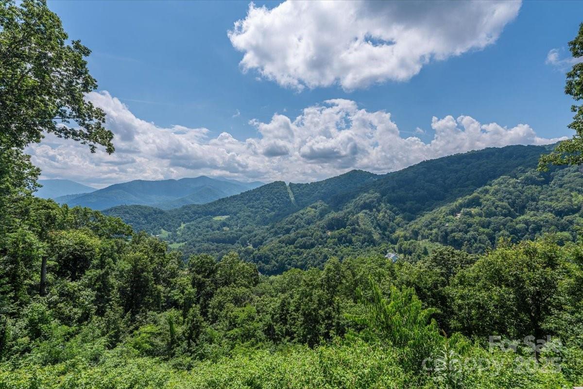 316 Fincher Mountain Rd., Waynesville, NC 28785