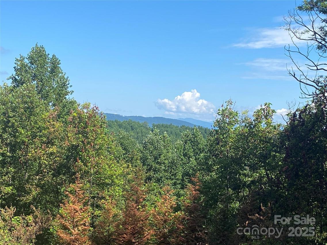 125 Brindlewood Dr. #55v/56v/57v, Nebo, NC 28761