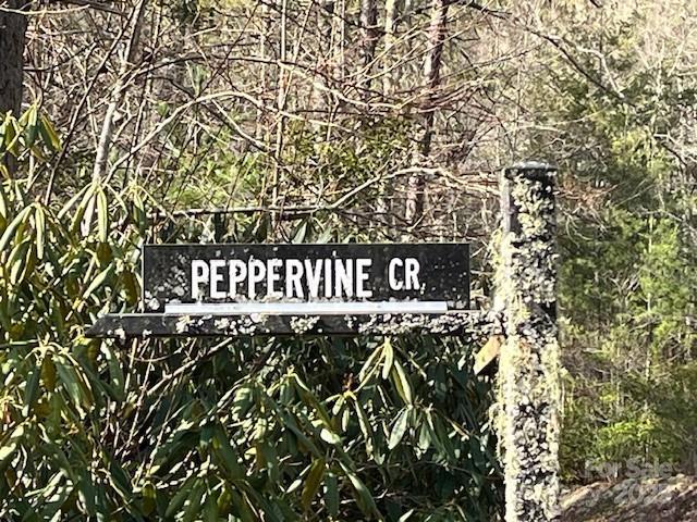 0000 Peppervine Cir. #97, Rosman, NC 28772