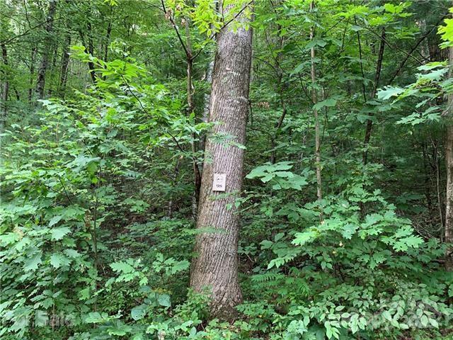 0000 Peppervine Cir. #98, Rosman, NC 28772