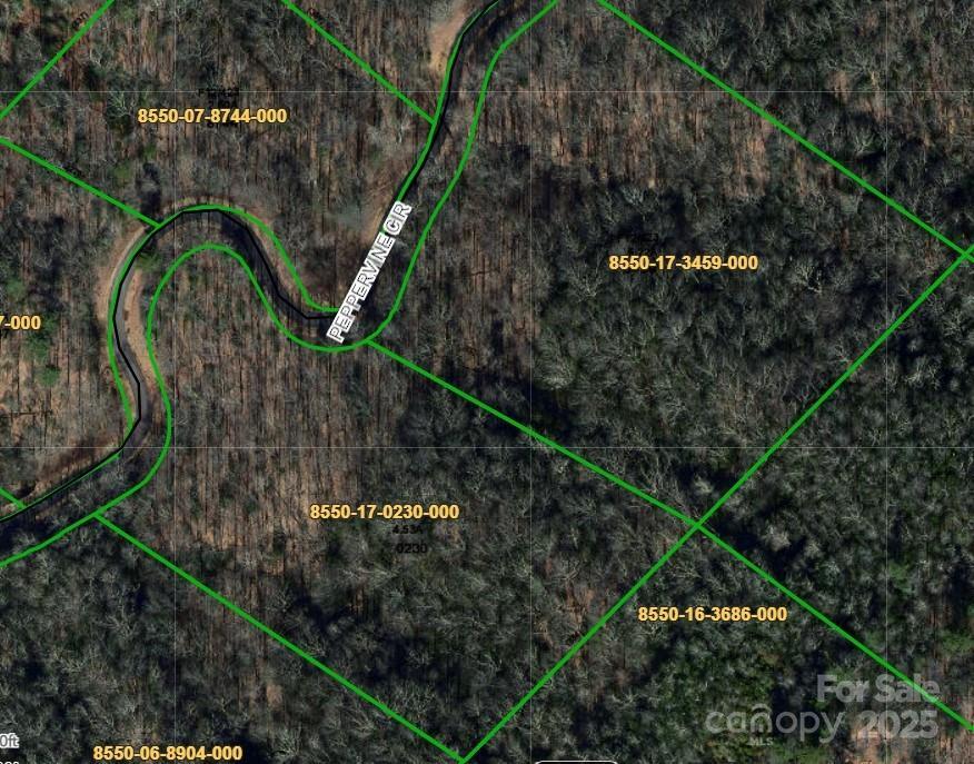 0000 Peppervine Cir. #98, Rosman, NC 28772