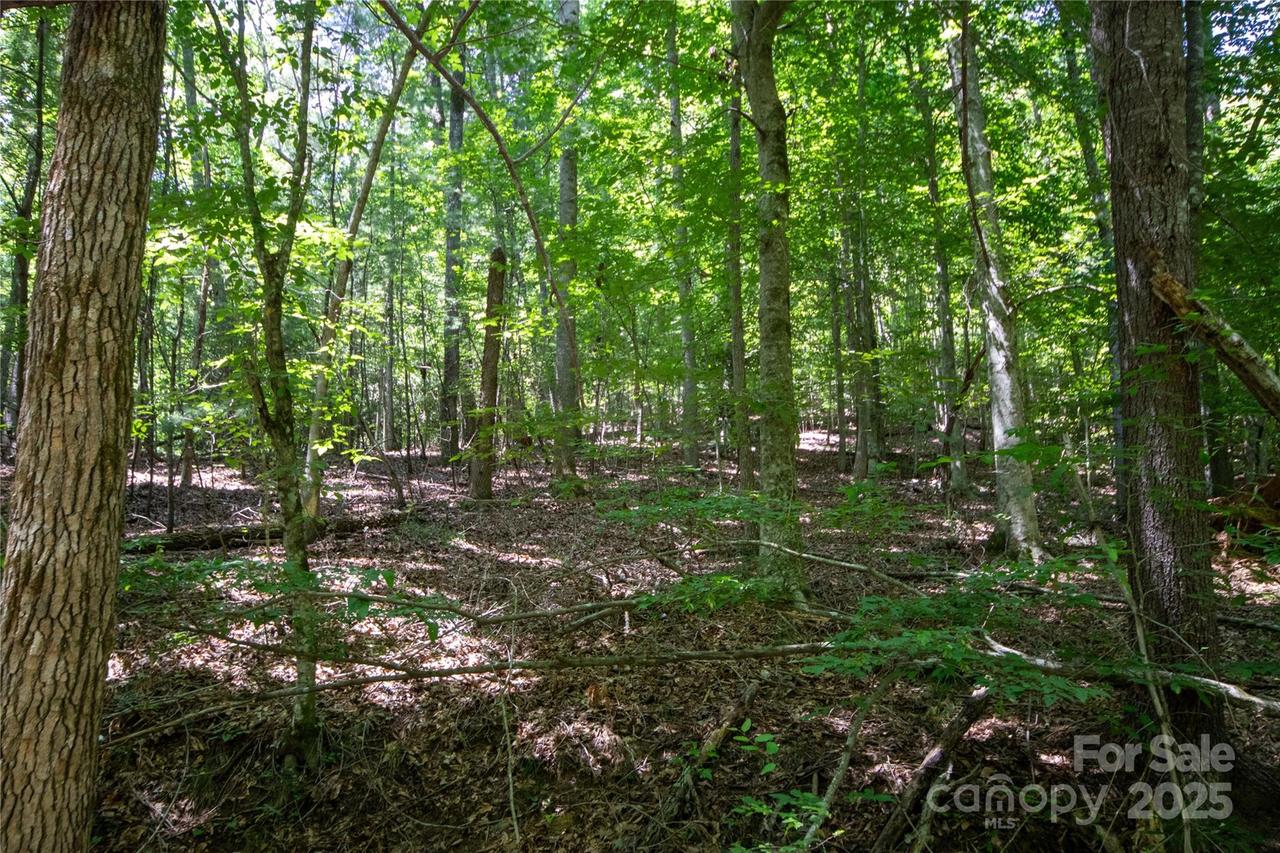 LOT 111 Stoney Brook Dr. #111, Lenoir, NC 28645