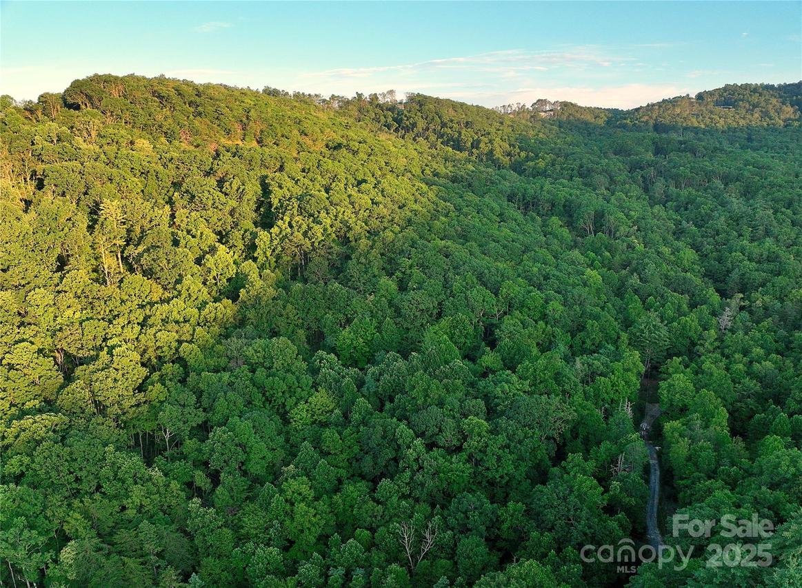 0000 Ebb Ida Ln., Fletcher, NC 28732