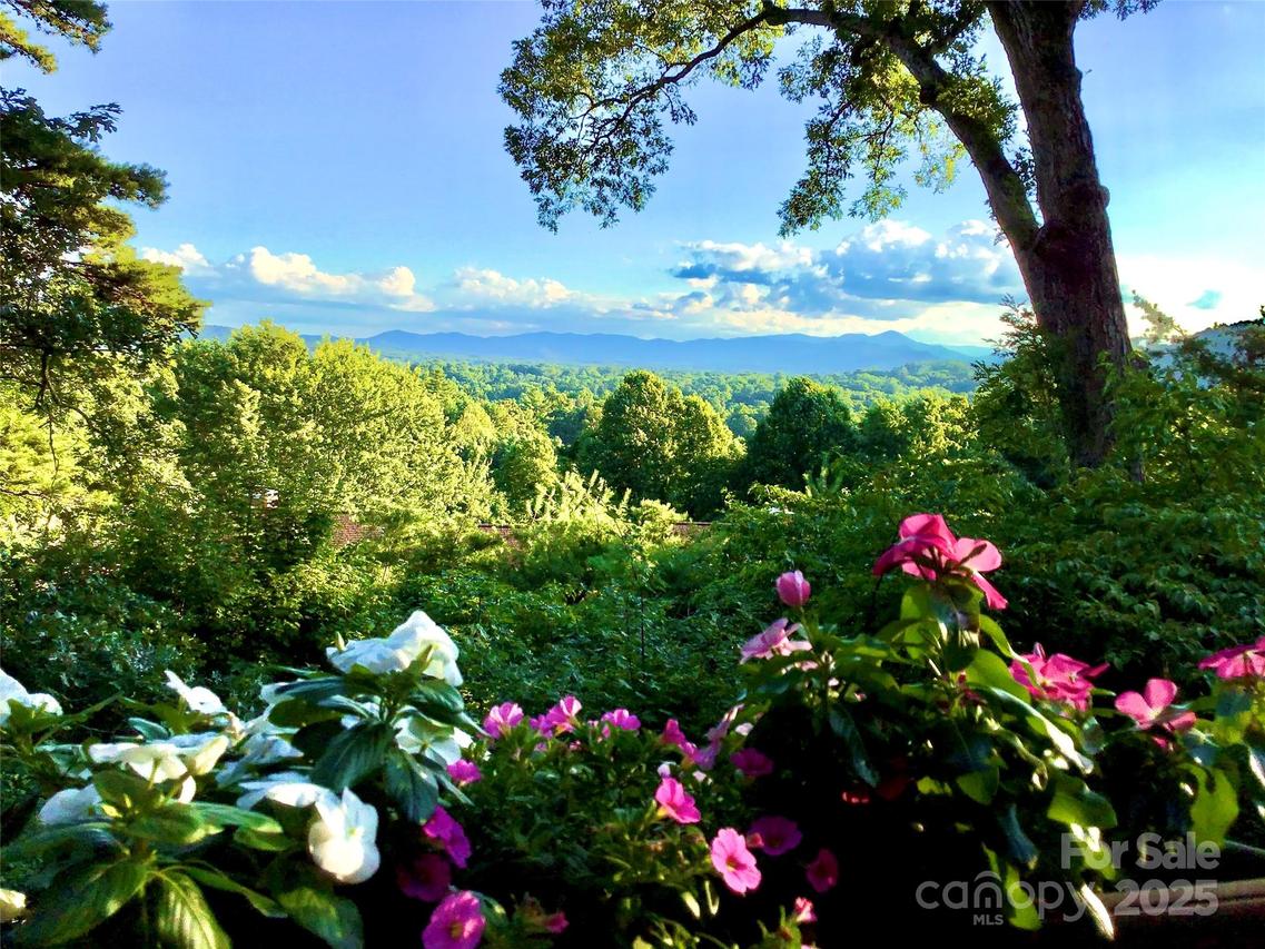 305 Piney Mountain Dr. #C-1, Asheville, NC 28805
