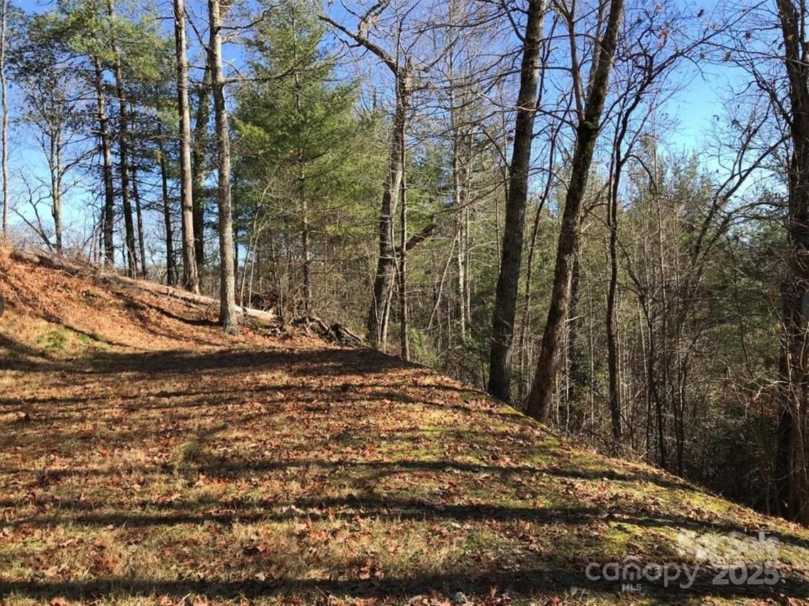 Saturn Way, Topton, NC 28781