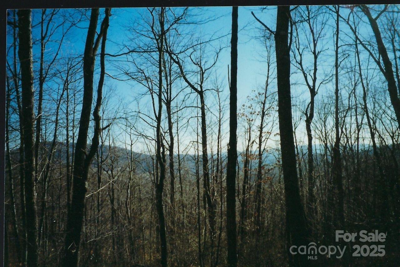 Lot #35 Damselfly Ct., Spruce Pine, NC 28777
