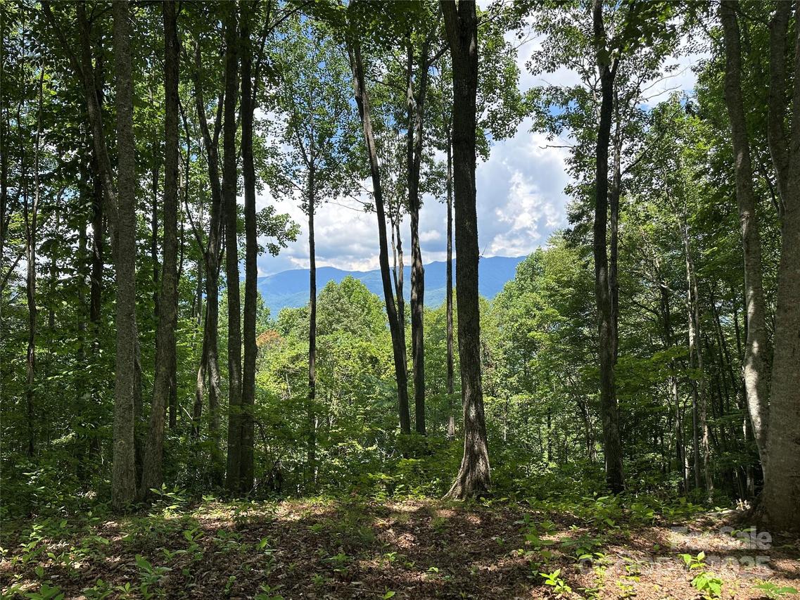 402 High Line Rd., Sylva, NC 28779