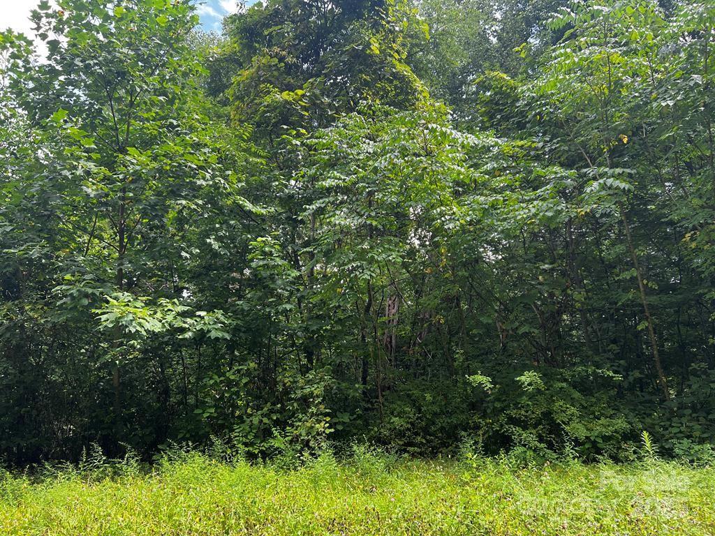LT 24 Llewellin Ln., Whittier, NC 28789
