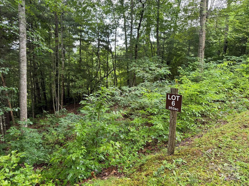 Lot 6 Garnet Rd., Sylva, NC 28779